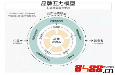 網(wǎng)絡(luò)時(shí)代品牌建設(shè)與傳播的快速通道 策略與實(shí)踐
